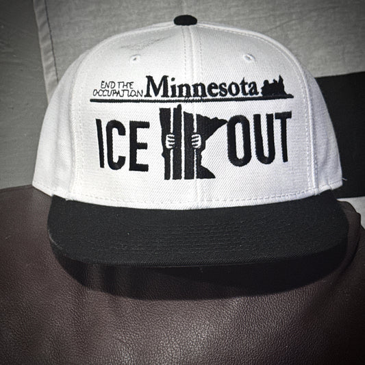 MN License Plate ICE OUT  Embroidered Snapback Hat